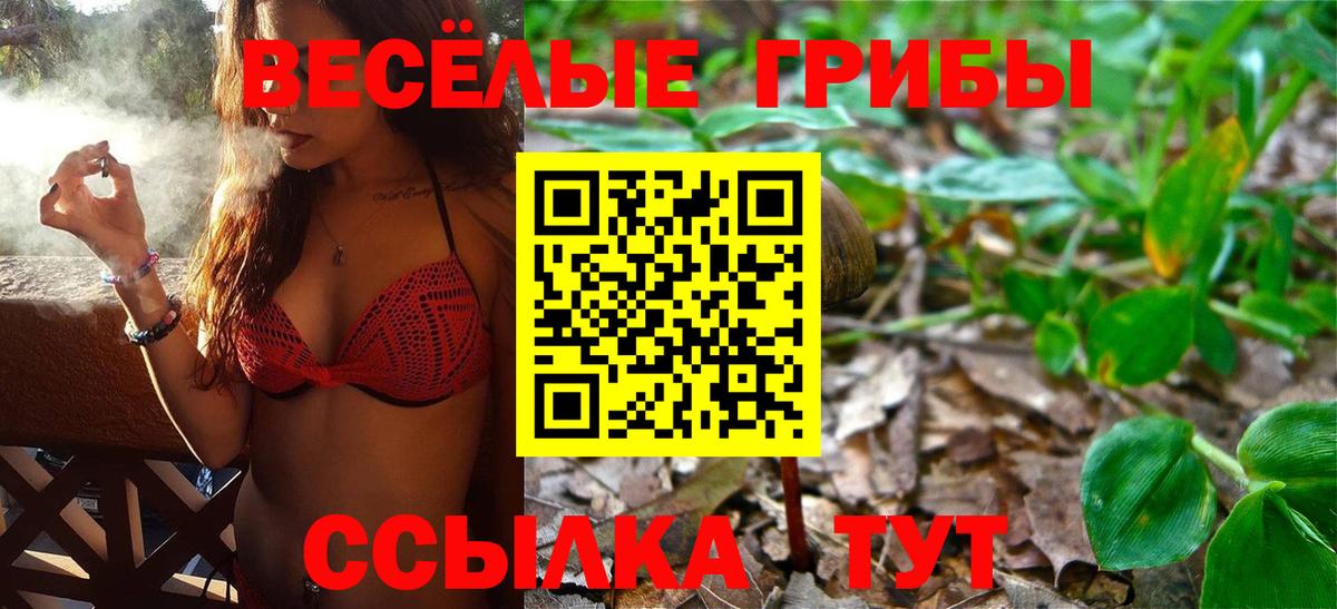 Галлюциногенные грибы Cubensis Муравленко