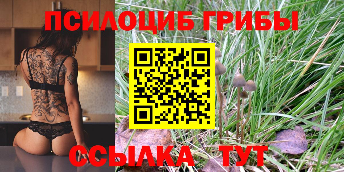 Муравленко  Псилоцибиновые грибы Magic Shrooms  Вход с VPN 